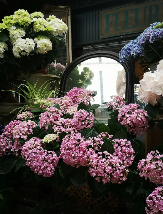 Hôtel Rayz Eiffel - Paris