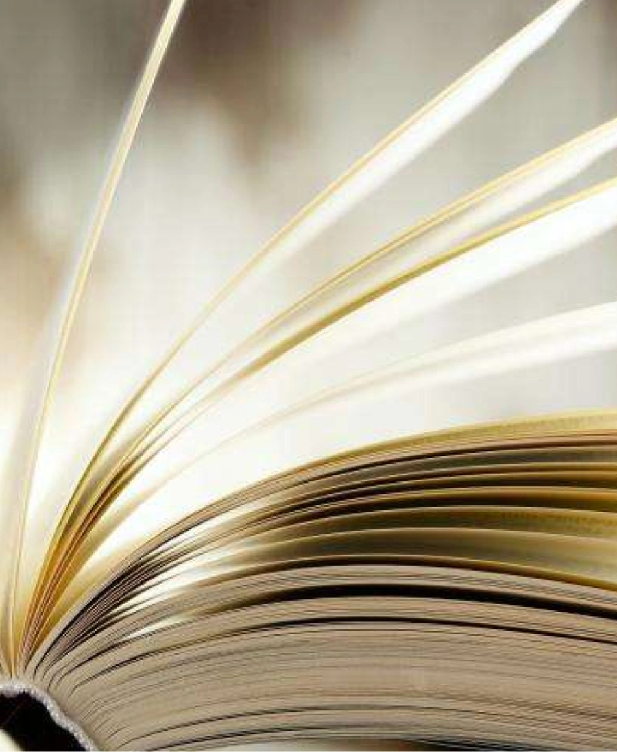 À deux pas de l'Hôtel Danube : Découvrez la Librairie 7L