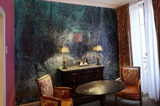 Chambre 40 - Pierre Roy Camille - Hotel du Danube