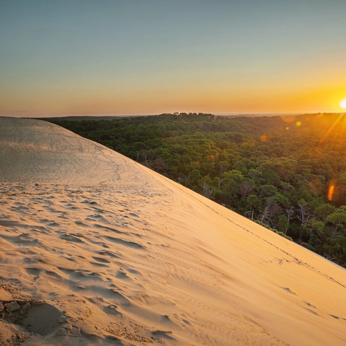 La Dune du Pilat