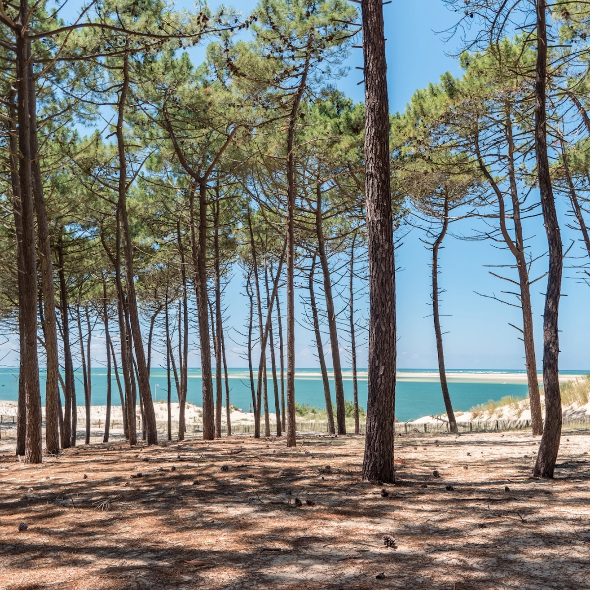Le Bassin d’Arcachon