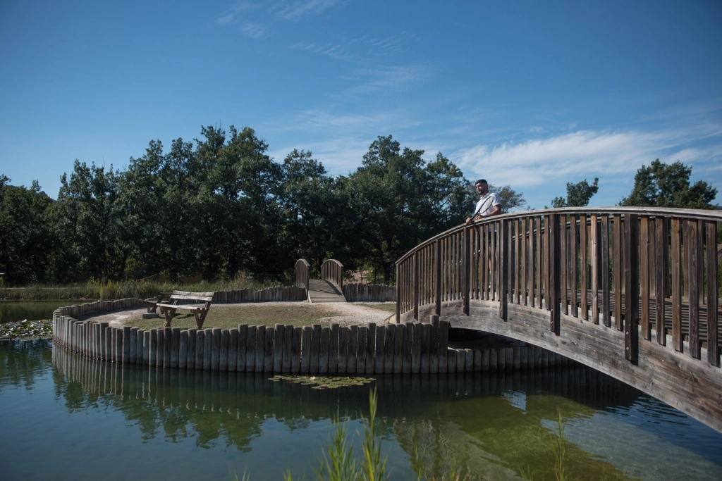 Le Domaine de L'Espinet - Disconnect Stay in Nature