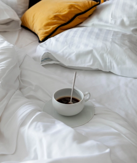 LAZ’ Hotel Spa Urbain - Room services