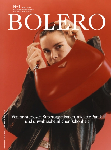 Château Voltaire - Presse