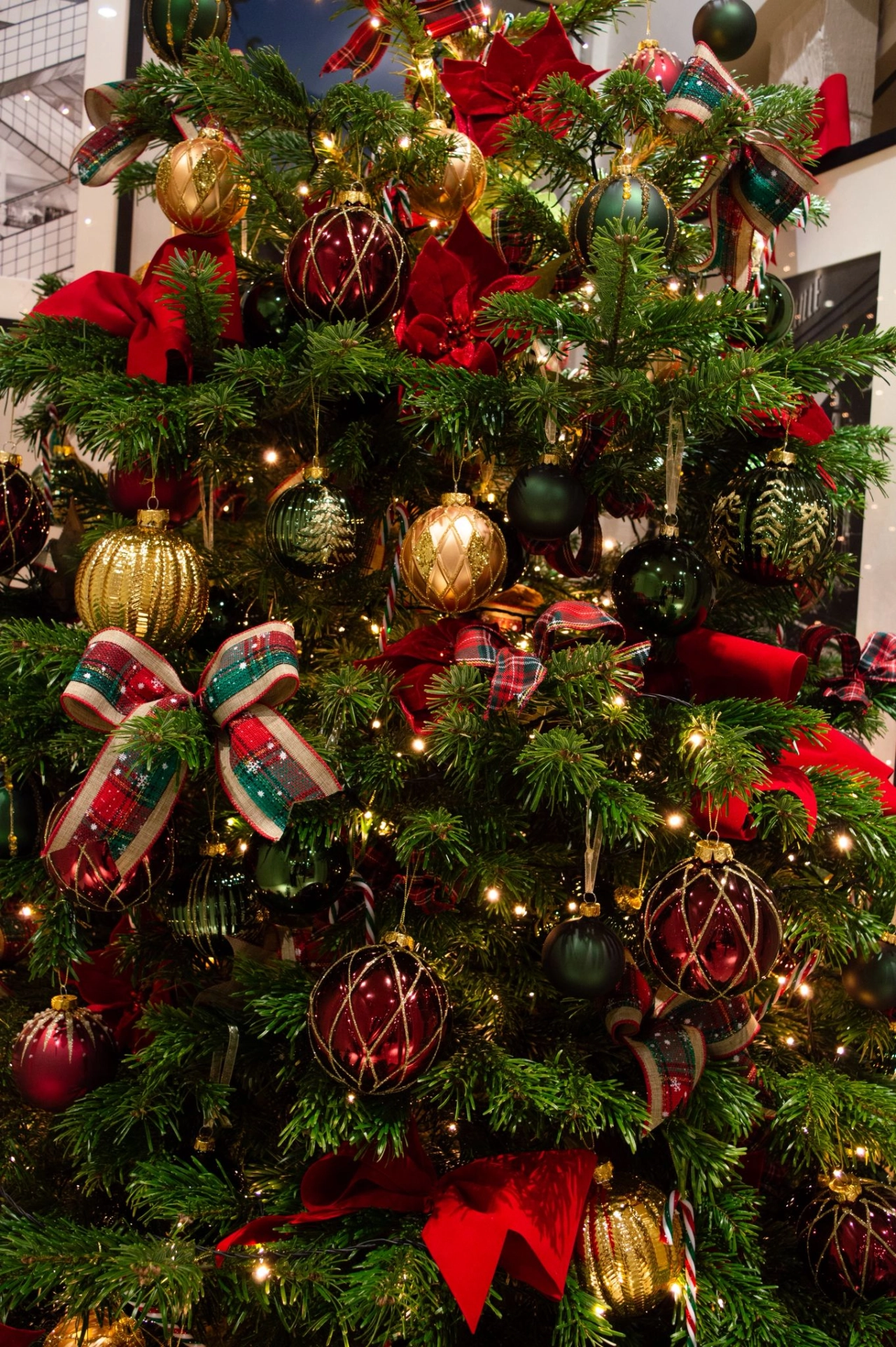 Hôtel de Lille - Christmas