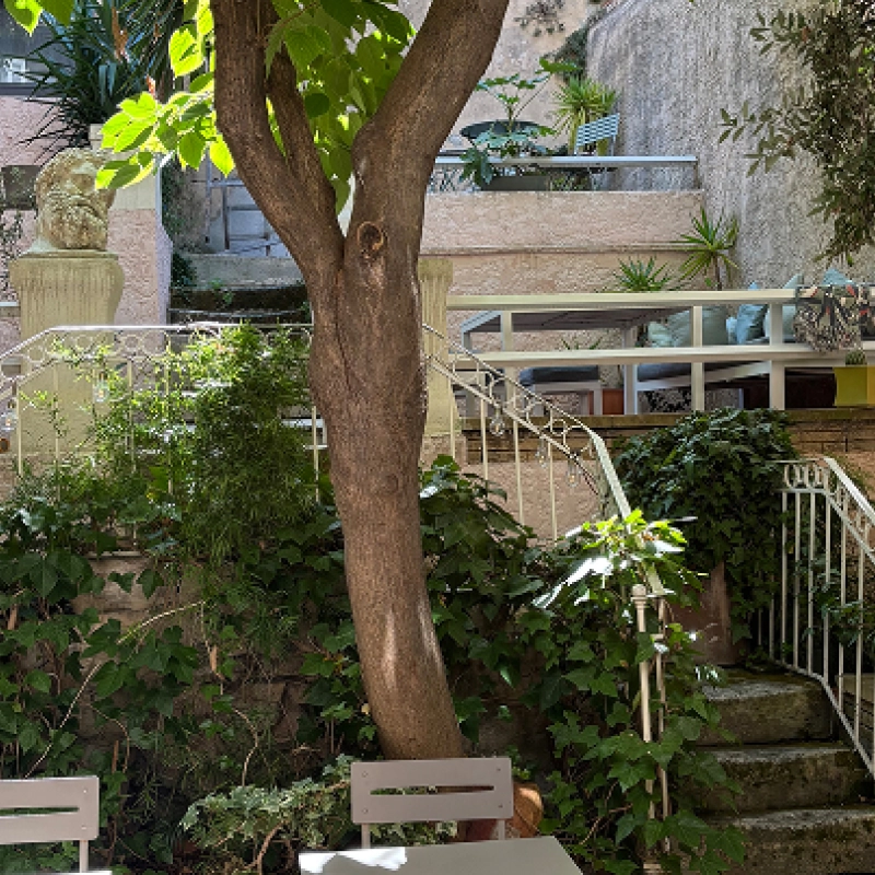 Boutique Hôtel Azur - The Garden